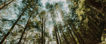 L’importanza della bioedilizia nella lotta contro il cambiamento climatico e i fenomeni atmosferici